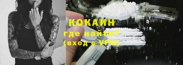 ПСИЛОЦИБИНОВЫЕ ГРИБЫ Алексин