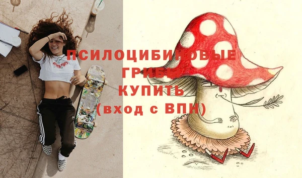 apvp Алексеевка