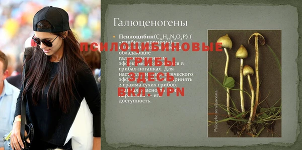герыч Абаза