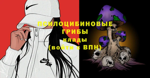 apvp Алексеевка