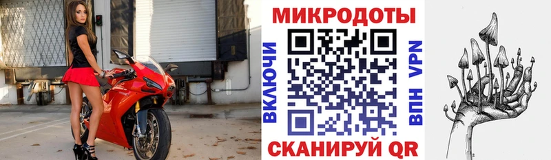 Галлюциногенные грибы Cubensis  магазин продажи   Безенчук 